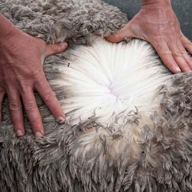 Below the merino sheep wool surface - which quilt or doona is best for your sleep needs