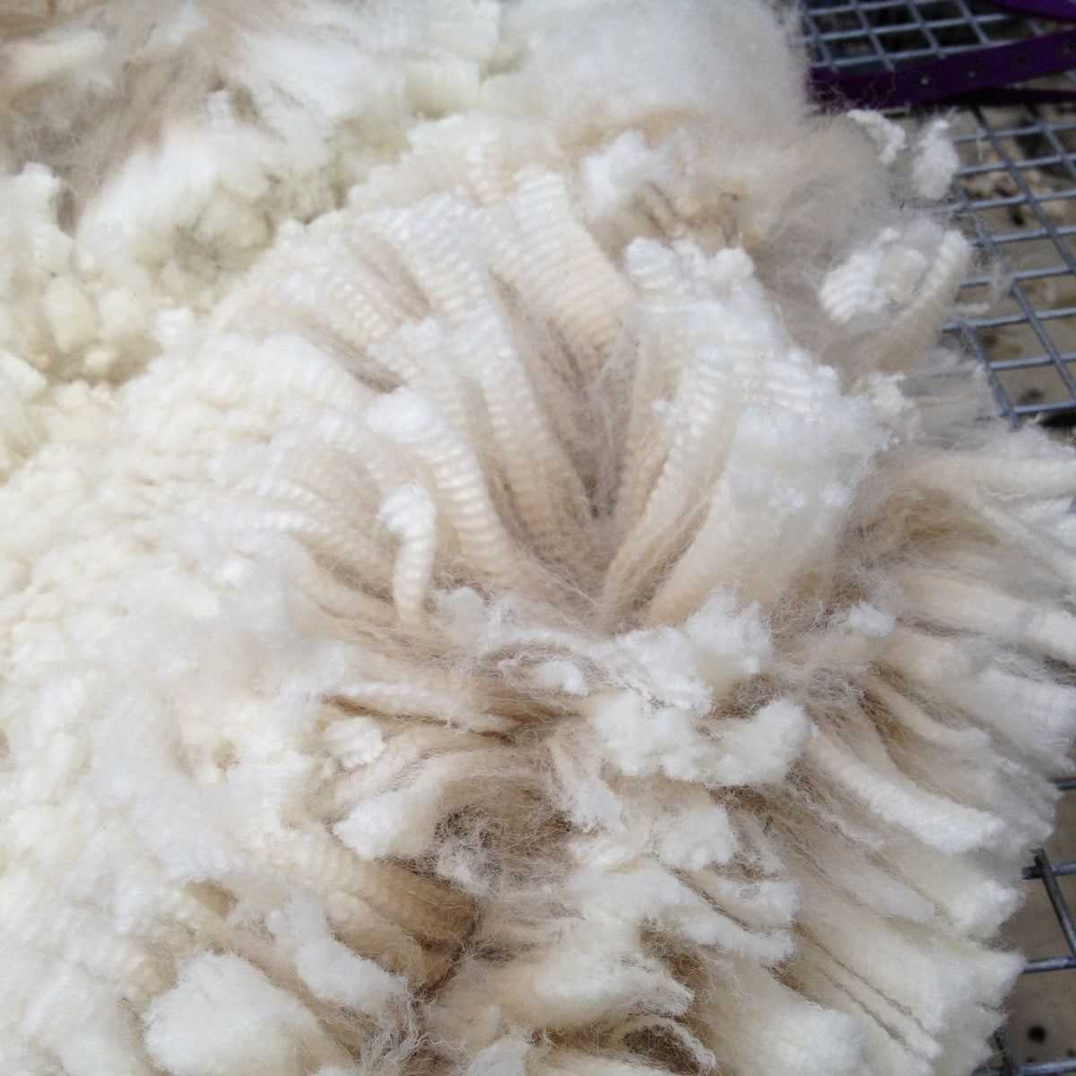 How Do I Know If My Quilt Is Really Australian Made? | Complete Buying Guide