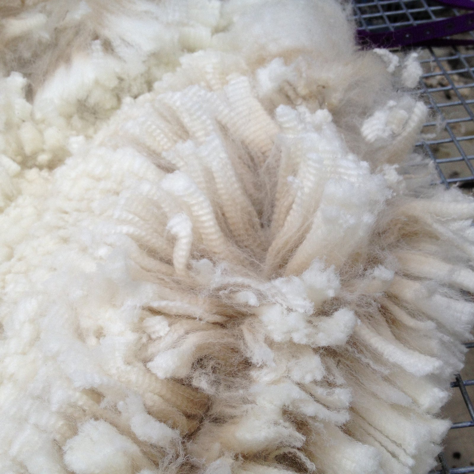 How Do I Know If My Quilt Is Really Australian Made? | Complete Buying Guide