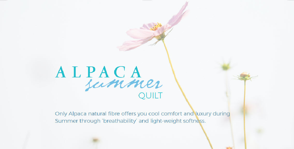 Alpaca Summer quilt with insert board