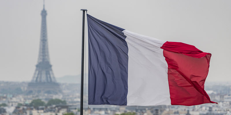 France flag and alpaca bedding quilts