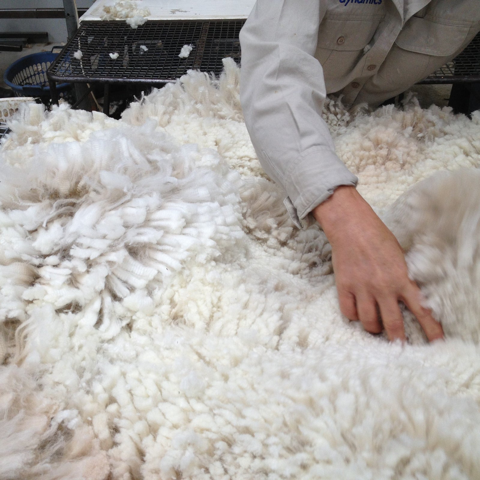 Why Kelly & Windsor Australia Chooses Australian Processed Wool and OEKO-TEX® Certified Alpaca Fibre and Merino Wool