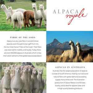 Alpacas in Australia | AlpacaRoyale