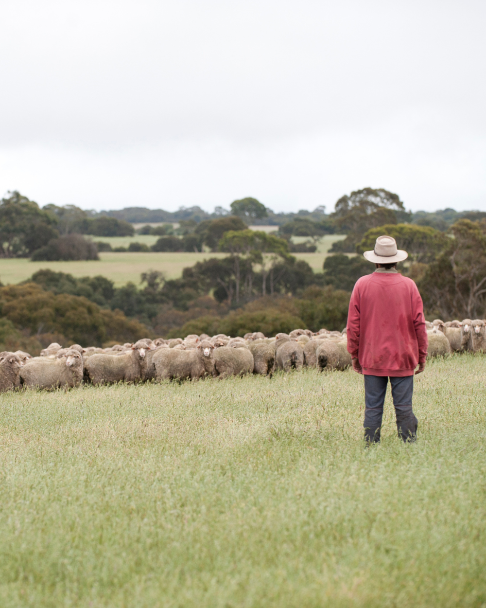 Australian, from fibre to finish